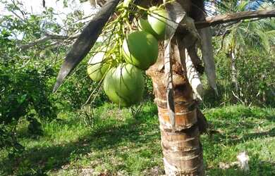 Imagem: A chácara possui 68.000m² de Área e está localizado em