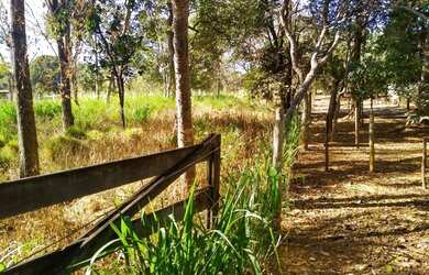 Imagem 6: Chácara 40.000 m² - Bela Vista de Goiás - GO