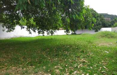 Imagem 11: Terreno plano de 860 m2 em Ilha de Guaratiba - Rio de Janeiro - RJ