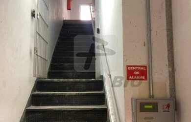 Imagem 12: SAO PAULO - Galpão/Depósito/Armazém - Vila Firmiano Pinto