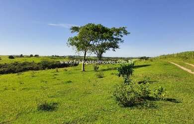 Imagem 14: Fabio Paes Imóveis - Fazenda 81 alq no Norte Fluminense