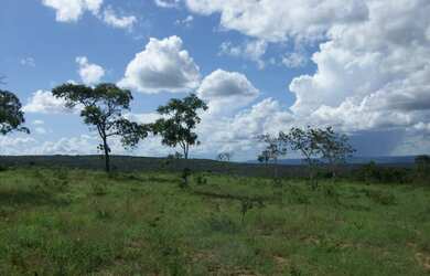 Imagem 5: Fazenda 356,85 ha - Brasilândia de Minas - MG