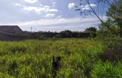 Imagem 5: Lote/Terreno para venda com 5400 metros quadrados em Jardim São Pedro...