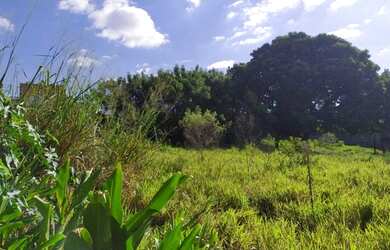 Imagem 13: Lote/Terreno para venda com 5400 metros quadrados em Jardim São Pedro...