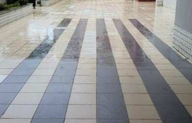 Imagem 2: Ed Golden Garden 1. Liga 9 8 7 4 8 3 1 0 8 DIEGO9989F