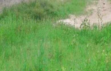 Imagem: O terreno possui 390m² de Área e está localizado em Bessa