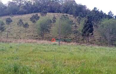 Imagem 15: Chácara 5 Alqueires em Cantagalo-Pr