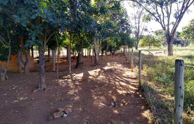 Imagem 7: Chácara 40.000 m² - Bela Vista de Goiás - GO