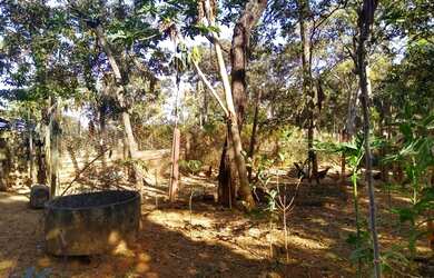 Imagem 14: Chácara 40.000 m² - Bela Vista de Goiás - GO