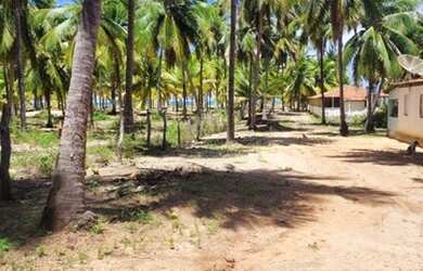 Imagem 6: Casa de praia em Miai de Cima