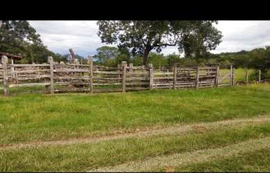 Imagem 4: Oportunidade Vende-se uma excelente fazenda de 12 Alqueires