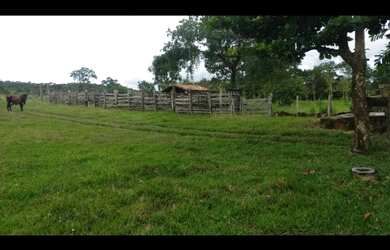 Imagem 5: Oportunidade Vende-se uma excelente fazenda de 12 Alqueires