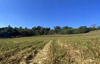Imagem 11: Lote/Terreno para venda com 500 metros quadrados em Usina - Atibaia -...