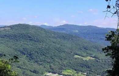 Imagem 4: Sítio / Chácara para Venda em Nova Petrópolis, Linha Olinda