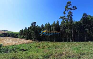 Imagem 4: Sítio à venda, 1365 m² por R$ 2.700.000,00 - São Salvador - Cascavel/PR