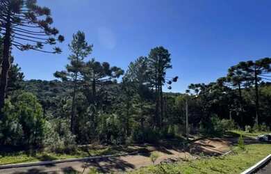 Imagem 7: Terreno - Bairro Dutra. Imóvel novoe450m² de Área