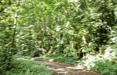 Imagem 4: 20 mil MTS rico em agua 79 mil reais 14 km da rodovia Regis Bittencourt