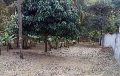 Imagem 13: AREA - JARDIM PROFESSOR BENOÁ - SP