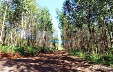 Imagem 3: Sítio à venda, 1365 m² por R$ 2.700.000,00 - São Salvador - Cascavel/PR