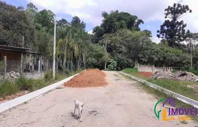 Imagem 3: TERRENO - NOVA GARDÊNIA - SP