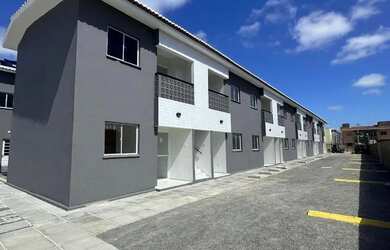 Imagem 11: Repasse pau amarelo