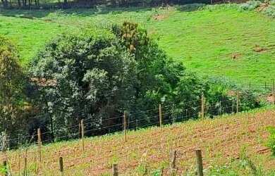 Imagem: O terreno possui 22.000m² de Área e está localizado em Rio