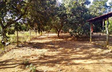 Imagem 12: Chácara 40.000 m² - Bela Vista de Goiás - GO