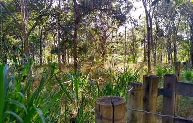 Imagem 8: Chácara 40.000 m² - Bela Vista de Goiás - GO