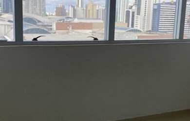 Imagem 2: Sala para aluguel, 1 vaga, Caminho das Árvores - Salvador/BA