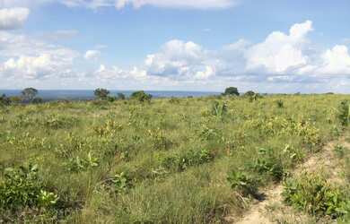 Imagem 6: Fazenda 356,85 ha - Brasilândia de Minas - MG