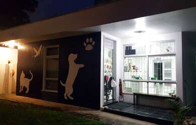 Imagem 2: Pet shop, Consultório veterinário, creche e banho e tosa