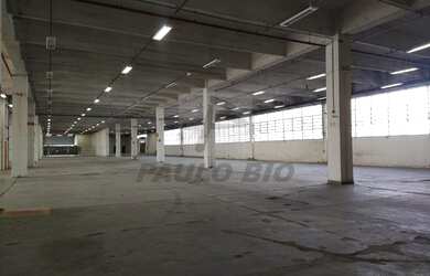 Imagem 14: SAO PAULO - Galpão/Depósito/Armazém - Jardim Pereira Leite