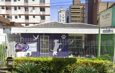 Imagem 5: Pet shop, Consultório veterinário, creche e banho e tosa