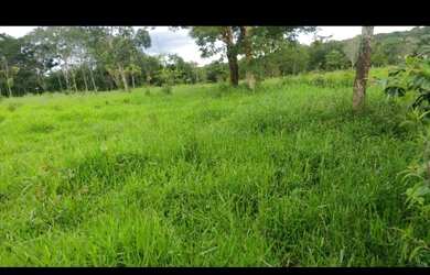 Imagem 2: Oportunidade Vende-se uma excelente fazenda de 12 Alqueires