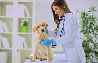 Imagem: O depósito possui 50m² de Área e está localizado em Centro