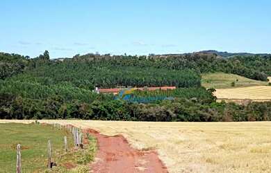 Imagem: Sítio à venda, 1365 m² por R$ 2.700.000,00 - São Salvador