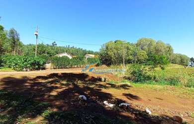 Imagem 2: Sítio à venda, 1365 m² por R$ 2.700.000,00 - São Salvador - Cascavel/PR