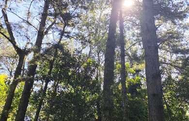 Imagem 5: Terrenos em local alto Viamão