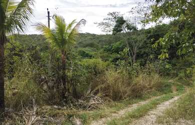 Imagem 7: Chácara em Aragoiania. 