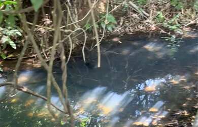 Imagem: A chácara possui 2.000m² de Área e está localizado em Real