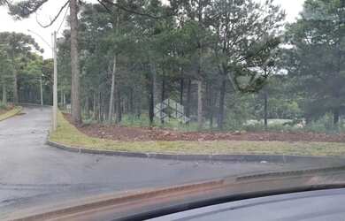 Imagem 5: TERRENO EM GRAMADO. 614m² de Área