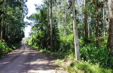 Imagem 7: Sítio / Chácara para Venda em Nova Petrópolis, Linha Brasil Fundos