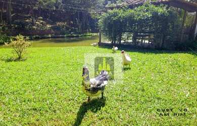 Imagem 5: Fazenda à venda, 175000 m² por R$ 1.700.000 - Glaura - Ouro Preto/MG