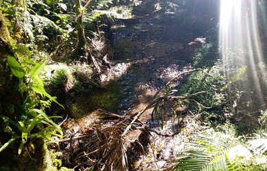 Imagem 3: Chácara com local para lago casa simples