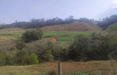 Imagem 5: Chácara 5 Alqueires em Cantagalo-Pr