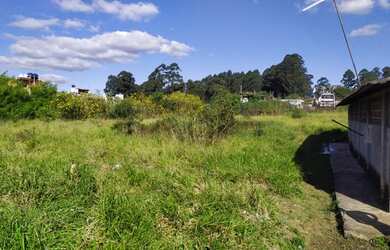 Imagem 7: Lote/Terreno para venda com 5400 metros quadrados em Jardim São Pedro...
