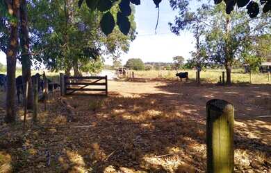 Imagem 5: Chácara 40.000 m² - Bela Vista de Goiás - GO