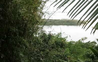 Imagem: A casa possui 5 Dormitórios, 2 Banheiros, 900m² de Área e