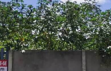 Imagem: Vende-se terreno há uma quadra do mar de Ipioca