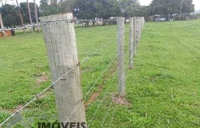Imagem 9: Ótima Fazenda entre Floreal e Nhandeara com 130 alqueires Cana / Pasto...